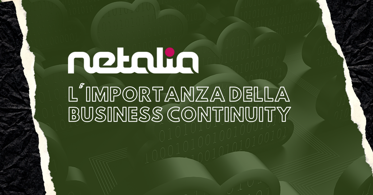 Netalia: L'importanza della Business Continuity